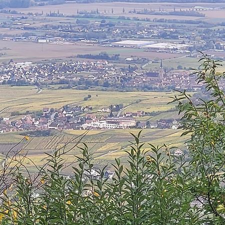 Sur La Route Du Vin Βίλα Rorschwihr Εξωτερικό φωτογραφία